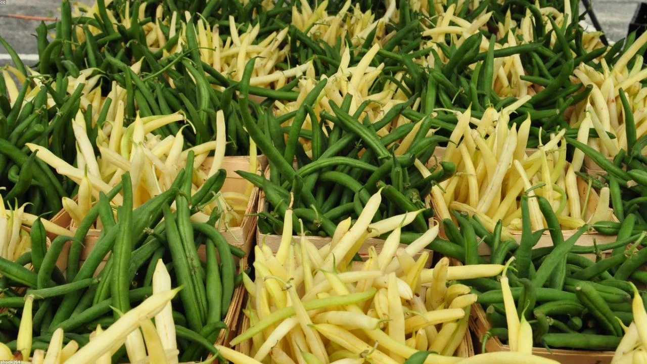 Costco: The Unlikely Safe Haven in a Surging Gasoline Price Environment