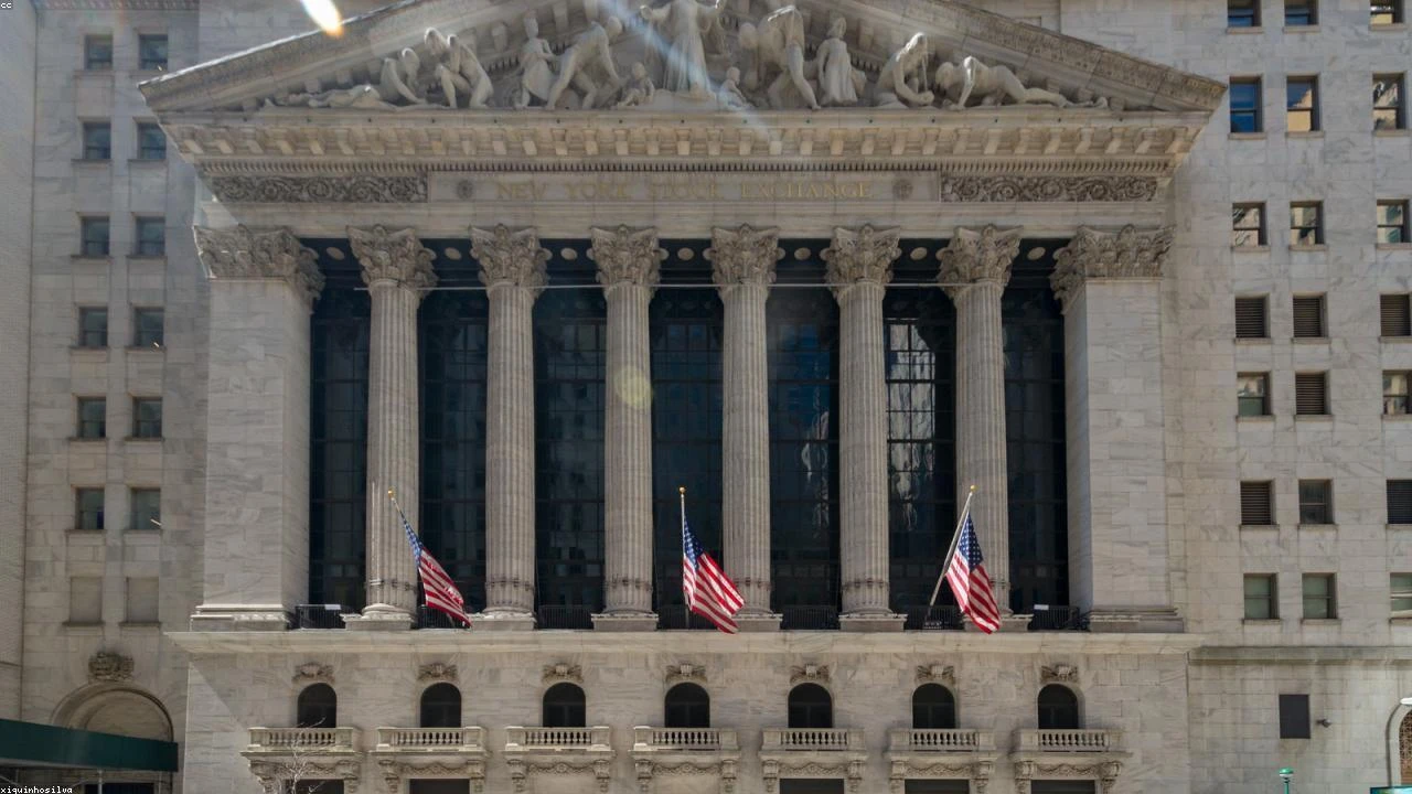 Pet Supplies Industry Under Siege: A Comprehensive Analysis of the Latest Chapter 11 Bankruptcy Filing