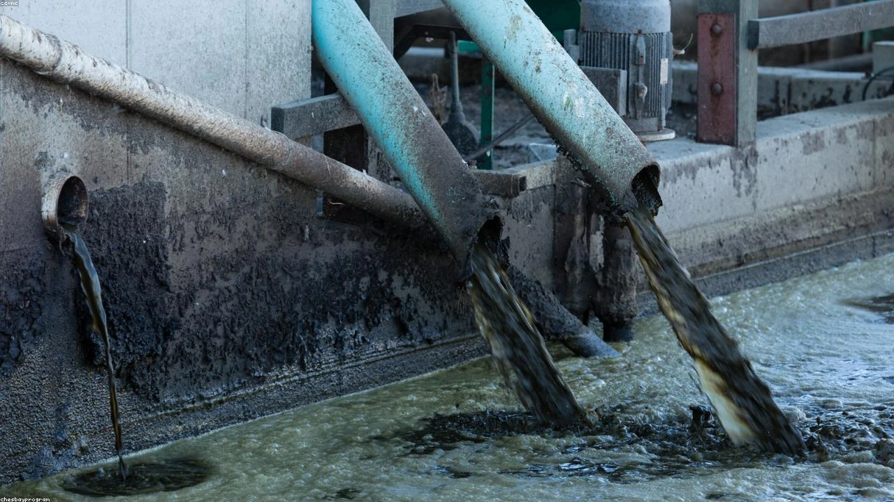 Banks Push Back Against GENIUS Act: Implications for Stablecoin Oversight and the Broader Crypto Market