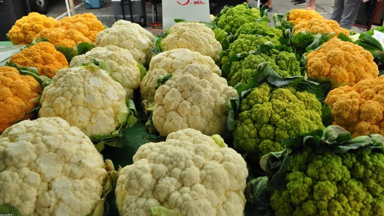 Inflation-Proof Your Portfolio: 6 Strategic Hedges to Safeguard Your Wealth