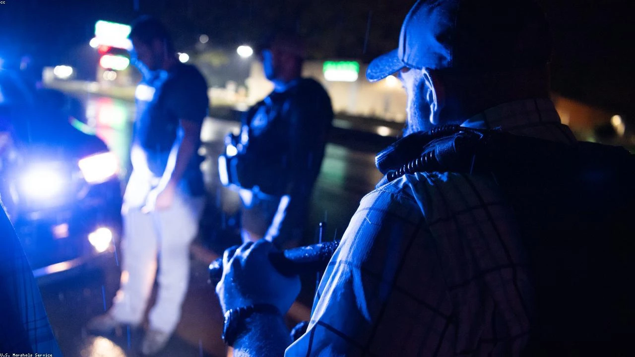 Bitcoin's Resilience: A Deep Dive into the Cryptocurrency's Recent Gains