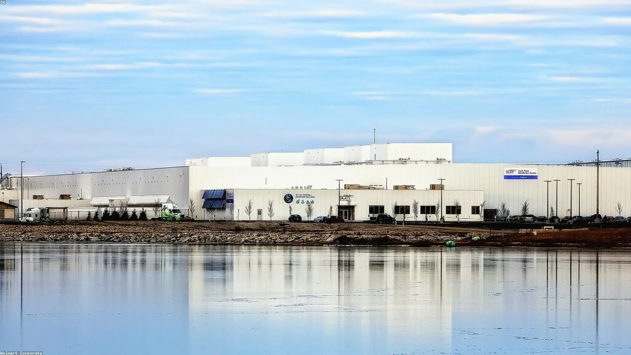 Bitcoin's Resurgence: Unpacking the Prolonged 'Coinbase Premium' Bullish Streak