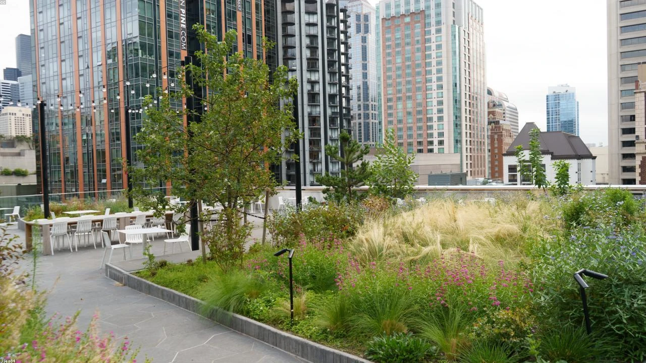 Memory Chip Stocks: A 'Buy The Pullback' Opportunity