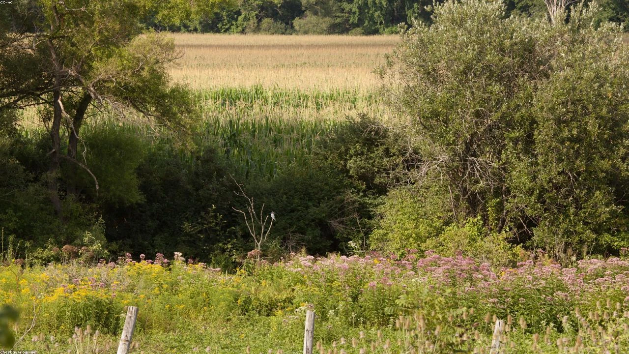 Dividend Stocks to Buy Now: Trivariate's Top Picks for Consistent Payout Growth