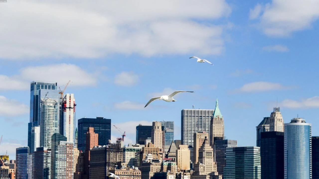 Unlocking Value in Specialty Retail: A Deep Dive into Williams-Sonoma