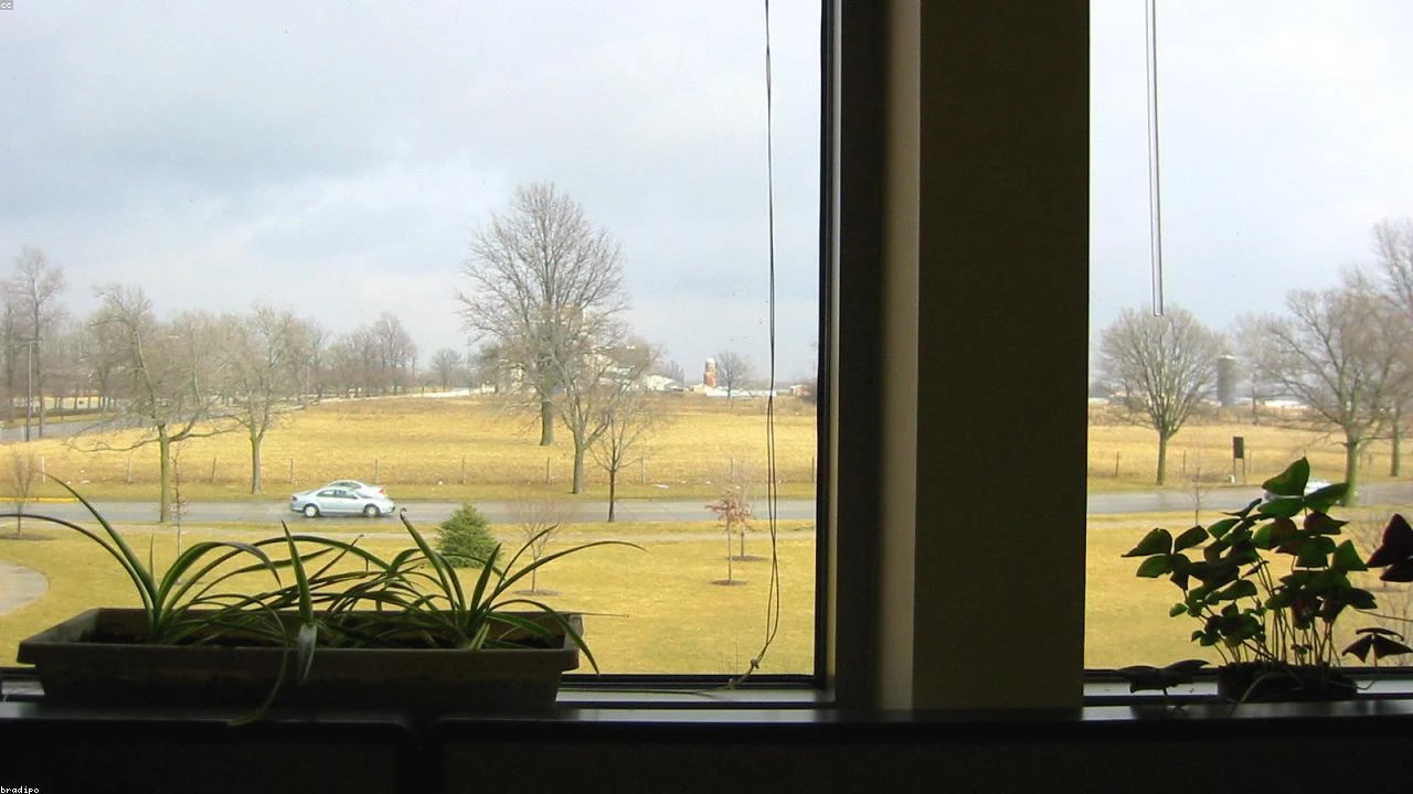 Carvana Stock: A Comprehensive Analysis of CVNA's Performance in the Consumer Cyclical Sector