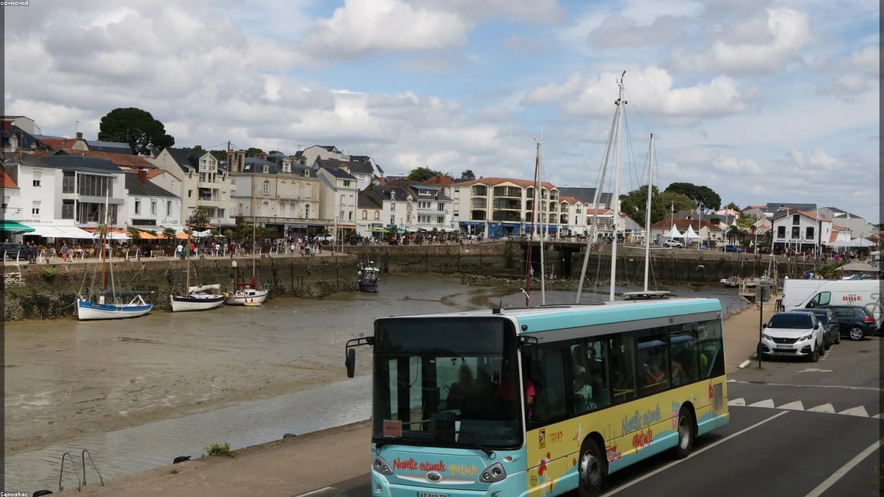 Citi and Morgan Stanley Dive Deeper into Crypto: A Comprehensive Analysis