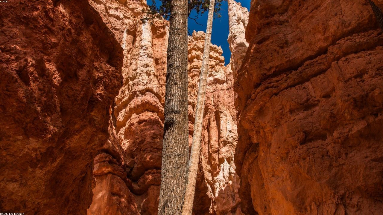 Coinbase Loses Key Executive to OpenAI: What This Means for the Crypto Market