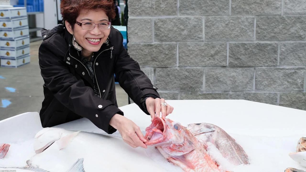 Navigating Crypto Volatility: A Deep Dive into the CoinDesk 20 Performance Update