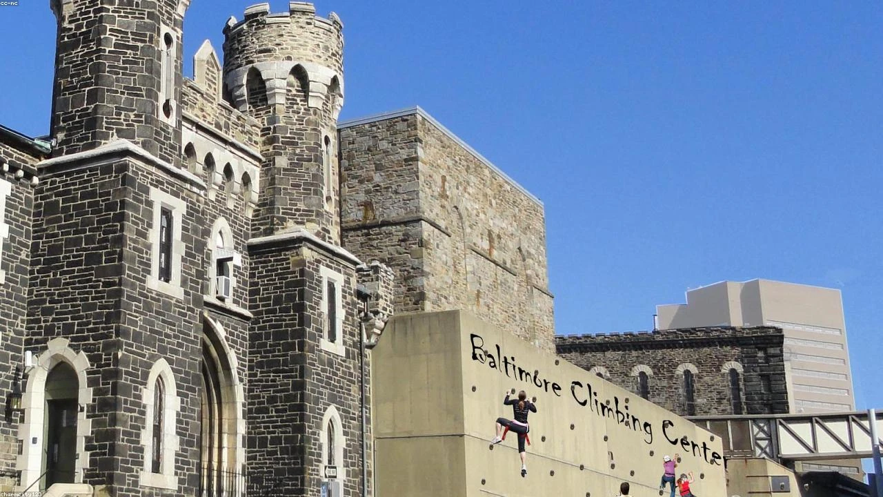 Crypto Market Downturn: Analyzing the CoinDesk 20 Index Drop