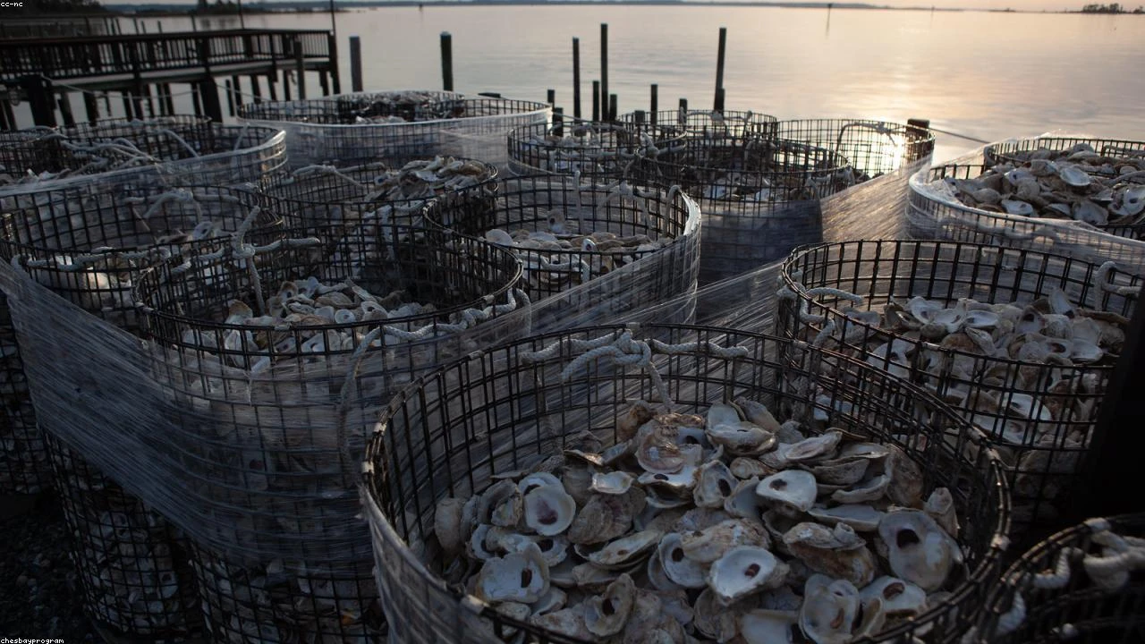 FICO Shares Plummet: Navigating the Shift to Alternative Credit Scores