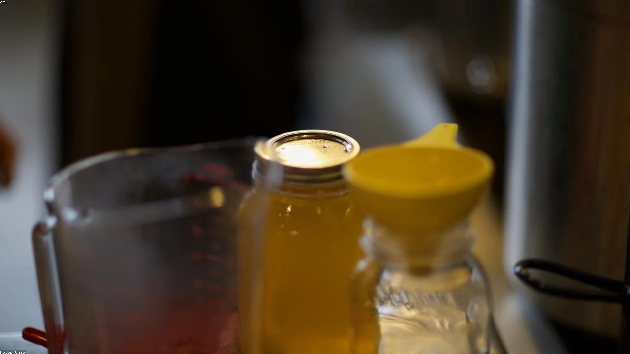 Unpacking the Recent Filing: A Deep Dive into 4D Molecular Therapeutics Inc