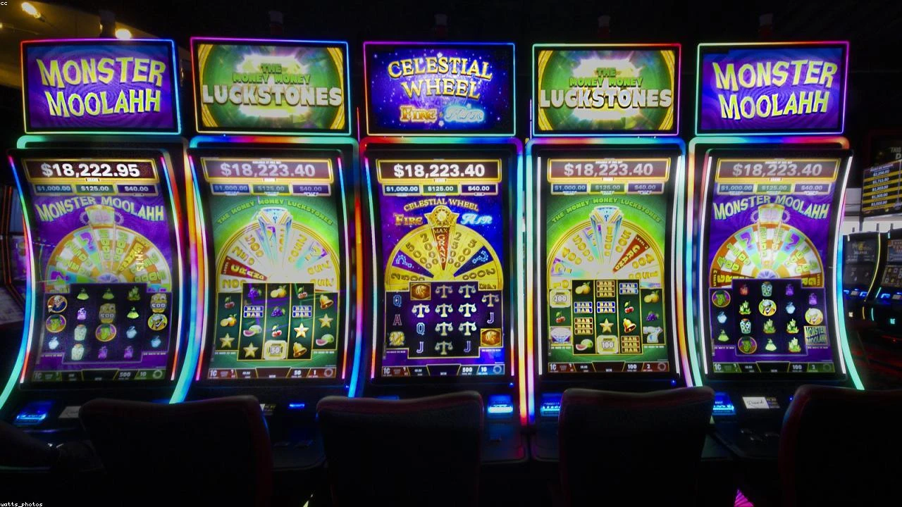 Charlotte's Web Holdings: A Deep Dive into the Recent DEF 14A Filing