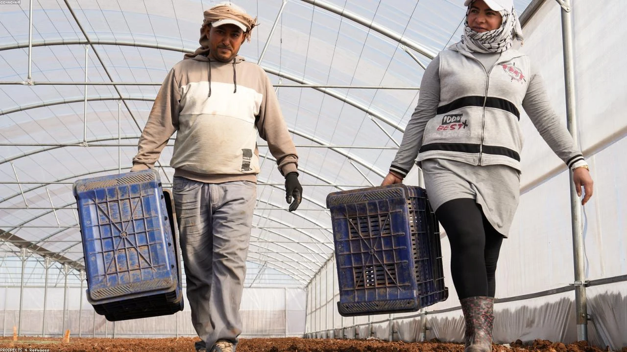 Del Monte's Earnings Surge: Unpacking the Fresh Produce Giant's Financial Performance