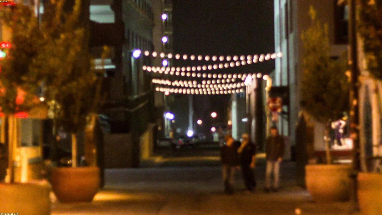 Meat Industry Boom: Why This Stock is Poised for Growth