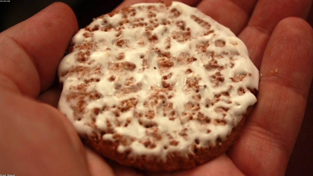 Energas Revolution: Transforming Environmental Concerns into Cuba's Most Affordable Energy Solution