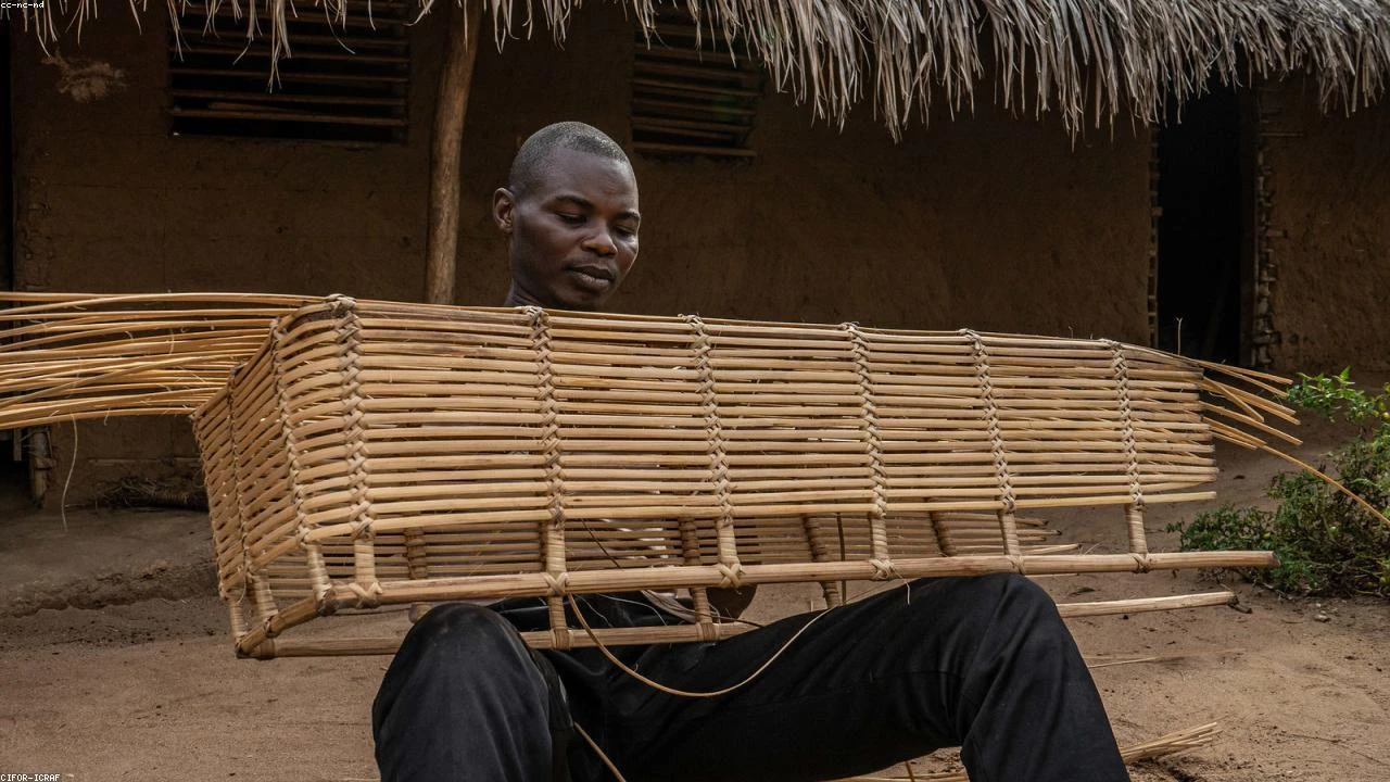 Investor Bill Baruch's Bold Move: Why Arm Holdings is the Future of AI Chips