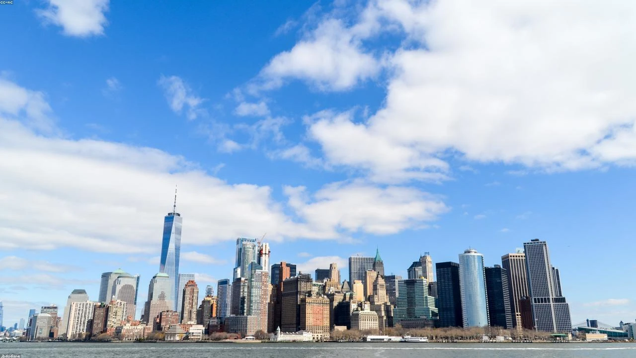 Stephanie Link's Strategic Shift: Chevron to Tech Stocks