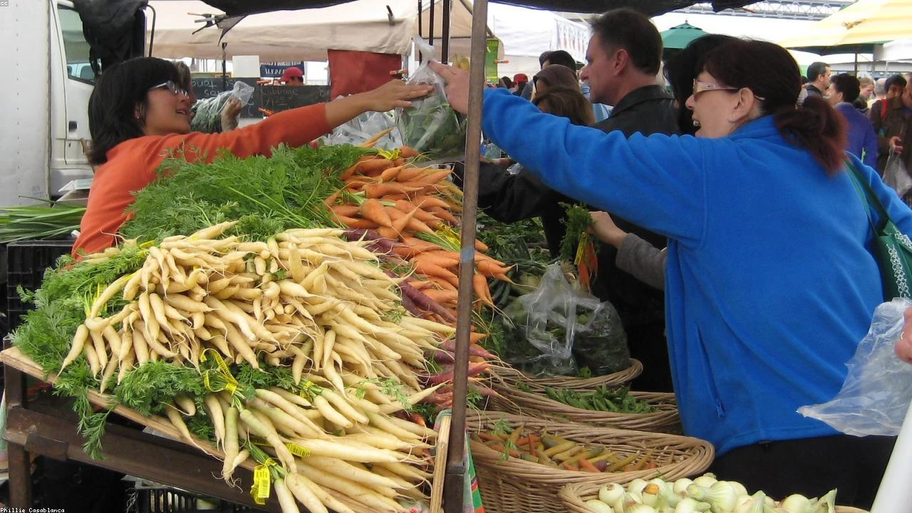 Iran's Crypto Toll Plan: A Strategic Move in the Strait of Hormuz