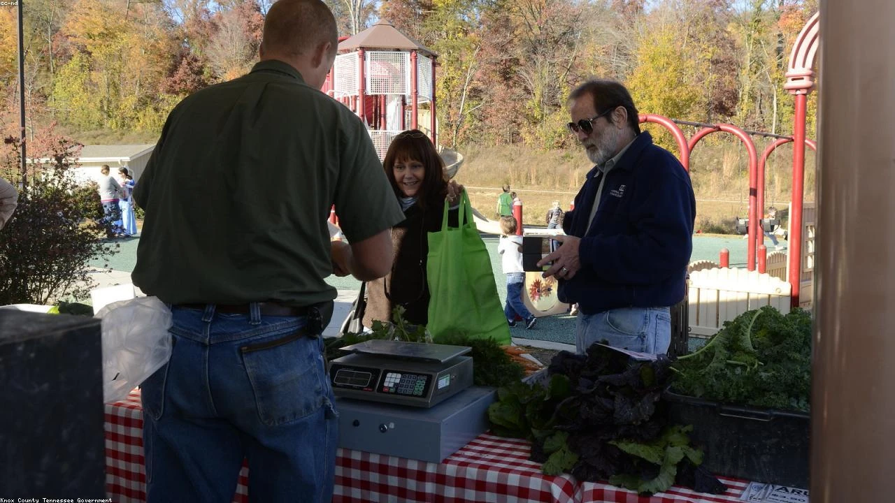 Japan's Nikkei 225 Falls 0.10%: A Deep Dive into the Japanese Stock Market