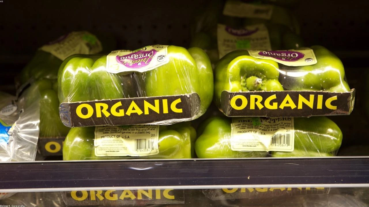 Meta Platforms (META) Revolutionizes AI Capabilities with Expanded Broadcom Deal