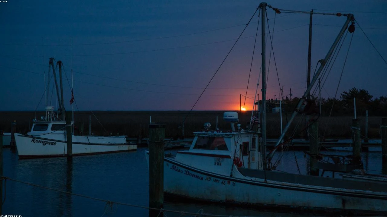 Moscow's Payment System Chaos: A Financial Analysis of the Impact on Shoppers and Travellers