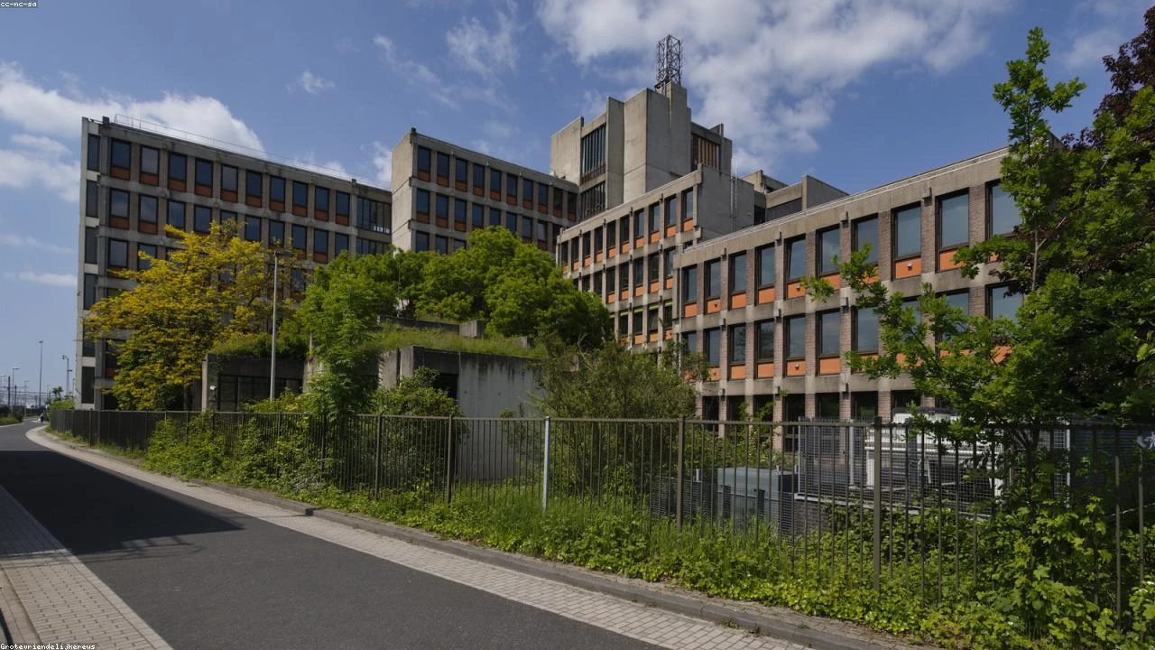 Nikita Bier Hints at New Venture as Crypto Faces Challenging Year