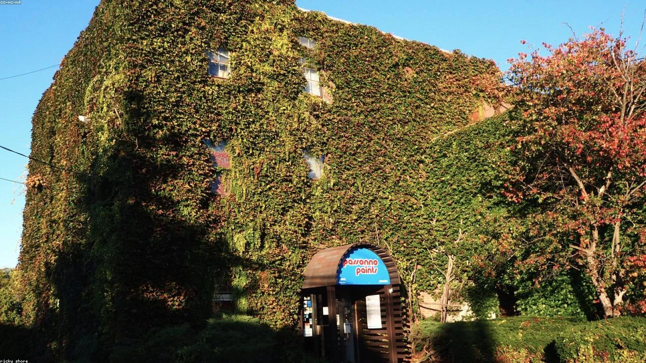 Tokenized Crude Oil Sparks Liquidation Frenzy: A $17 Million Hit for Traders