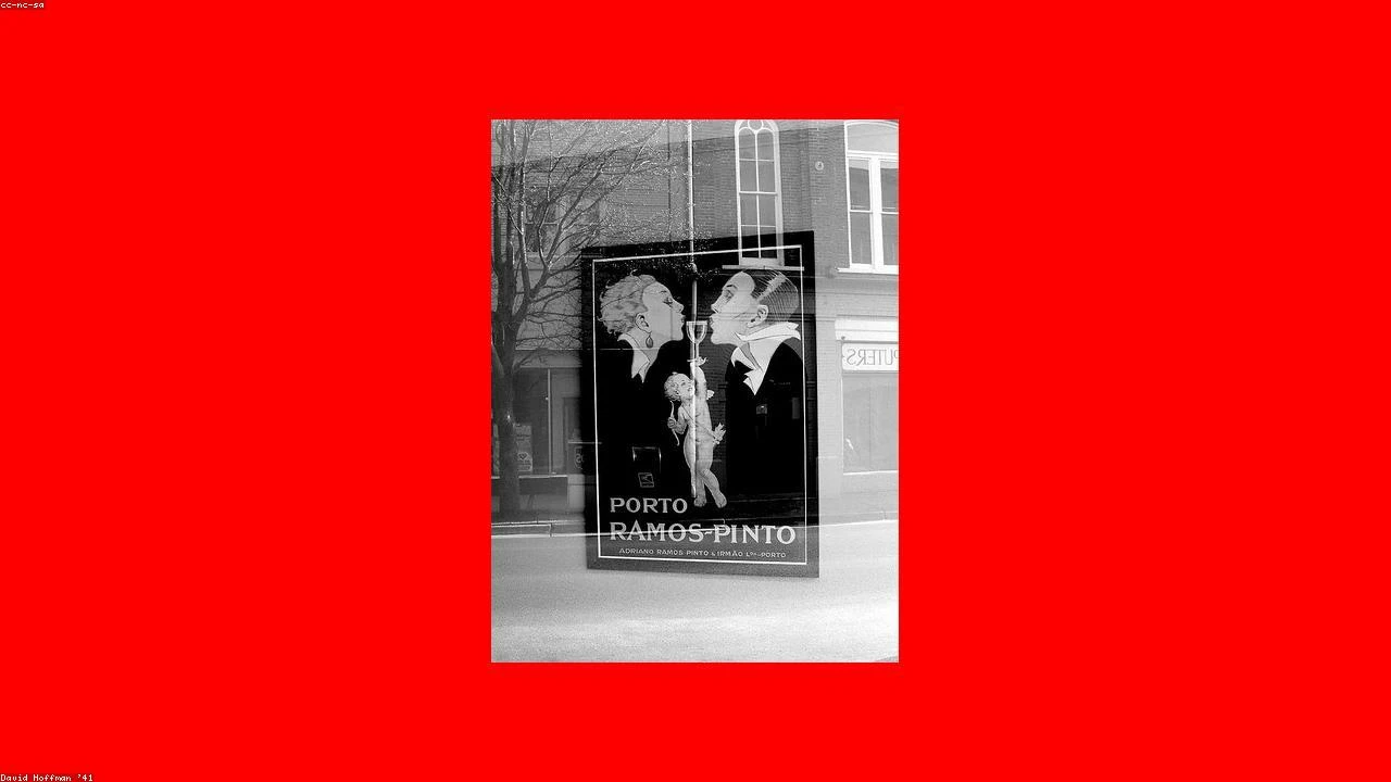 The Unlikely Alliance: Sam Bankman-Fried and Donald Trump