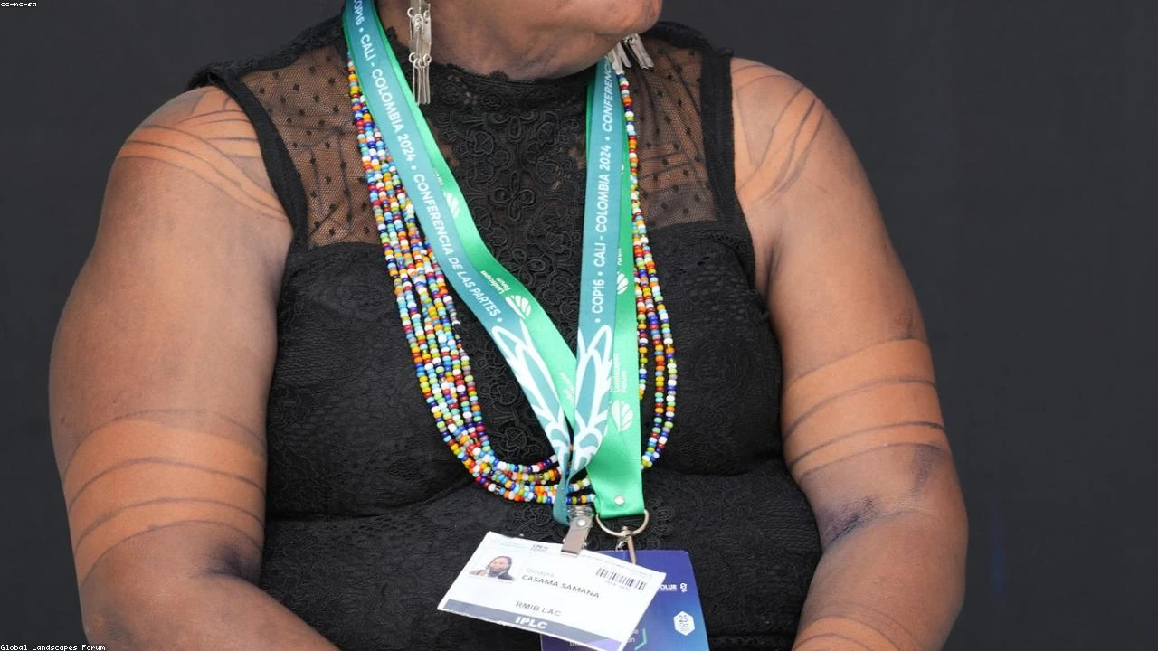 Snap's New CFO Appointment: A Deep Dive into the Implications