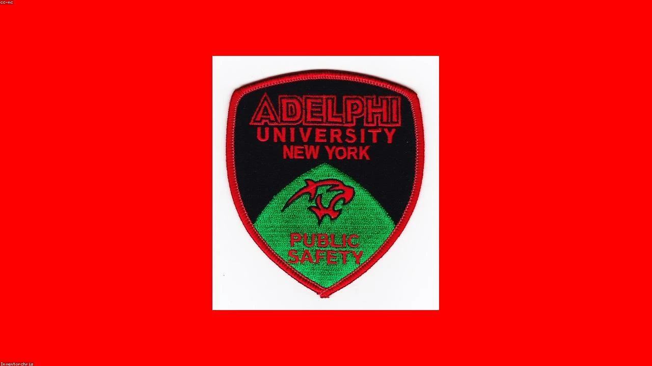 Navigating the Post-Quantum Transition: A Critical Analysis for Institutional Investors