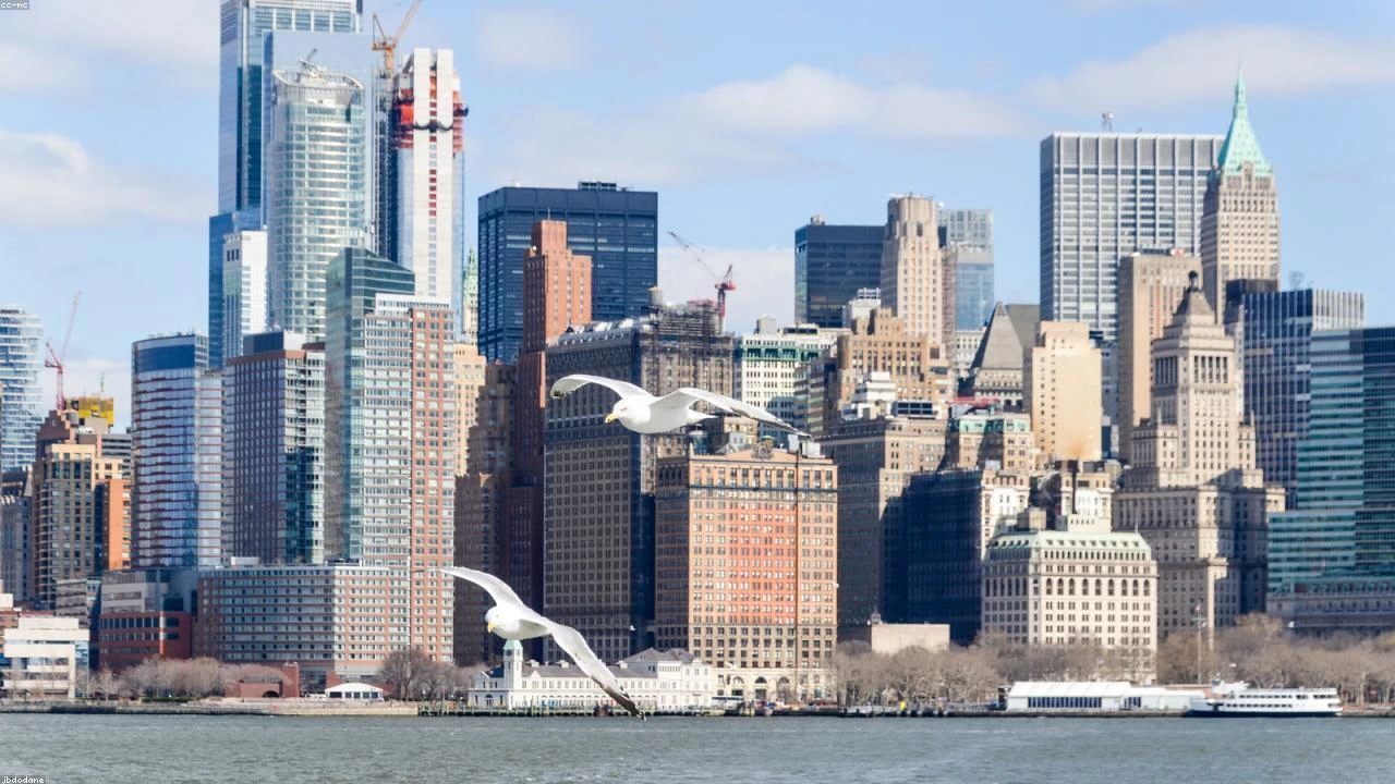 SEC's Stance on Crypto Security: A Deep Dive into the State of Crypto