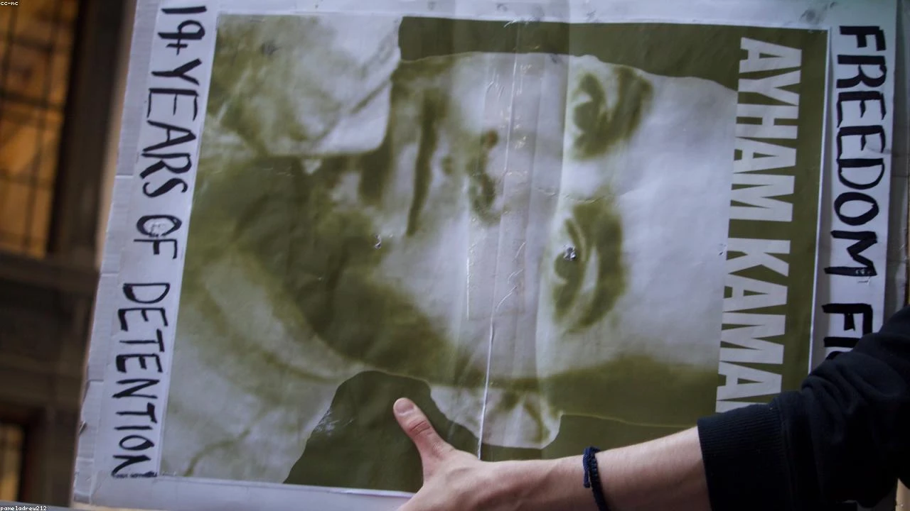 QSR Stock Breakout: A Deep Dive into the Tim Hortons Parent Company