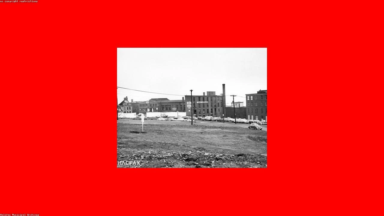 Software Stocks Rebound: A Bottom in Sight After a Turbulent 2026 Start