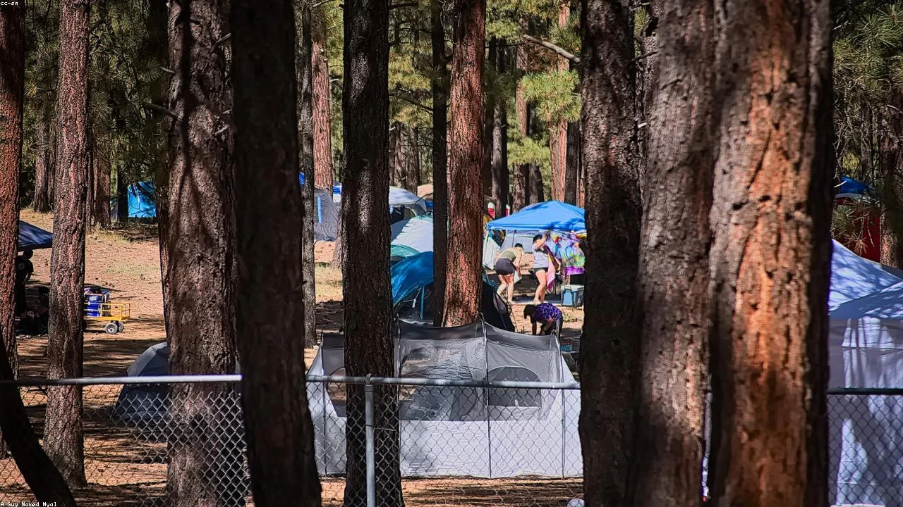 Earnings Momentum Accelerates: A Deep Dive into Vertiv and Amazon