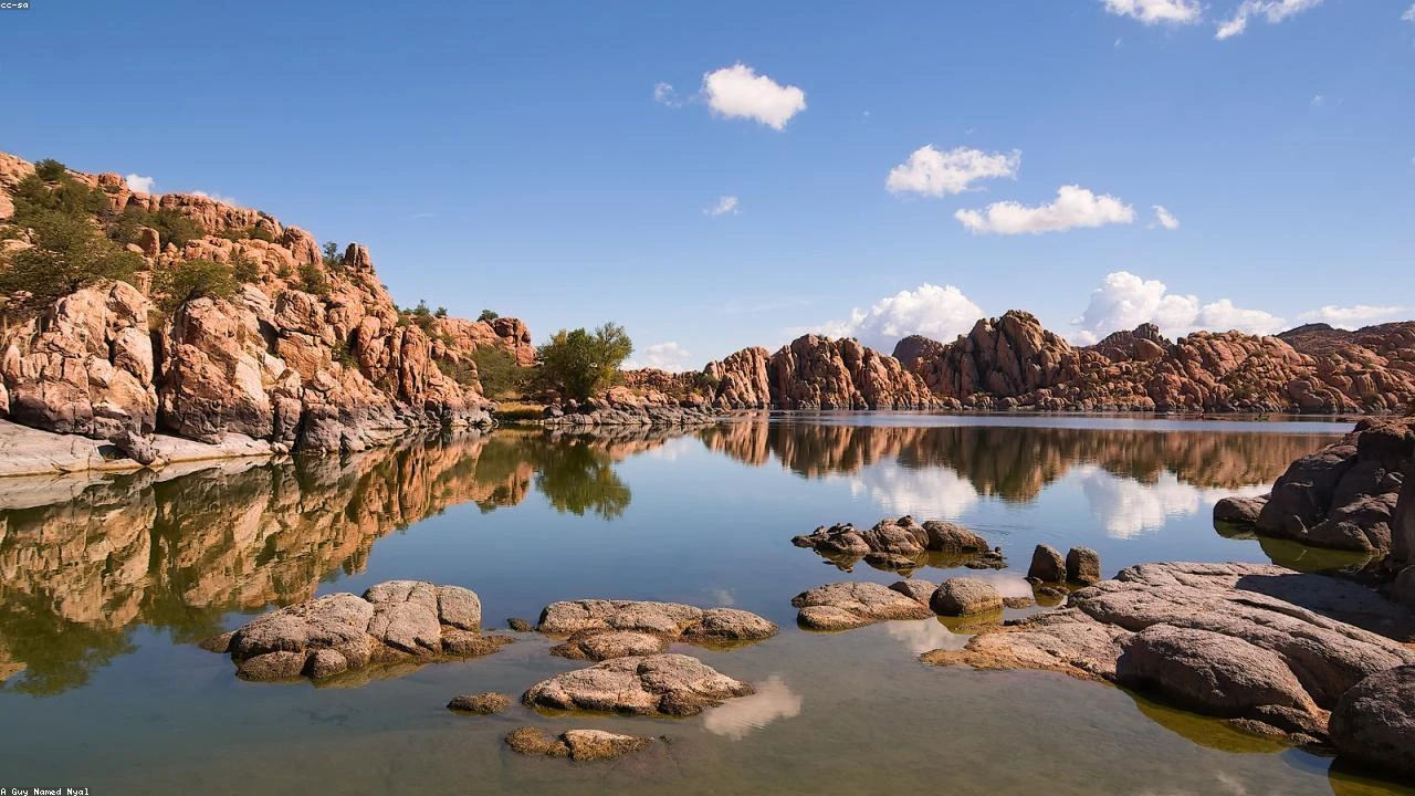 Telecom Giants Regain Momentum: A Deep Dive Analysis