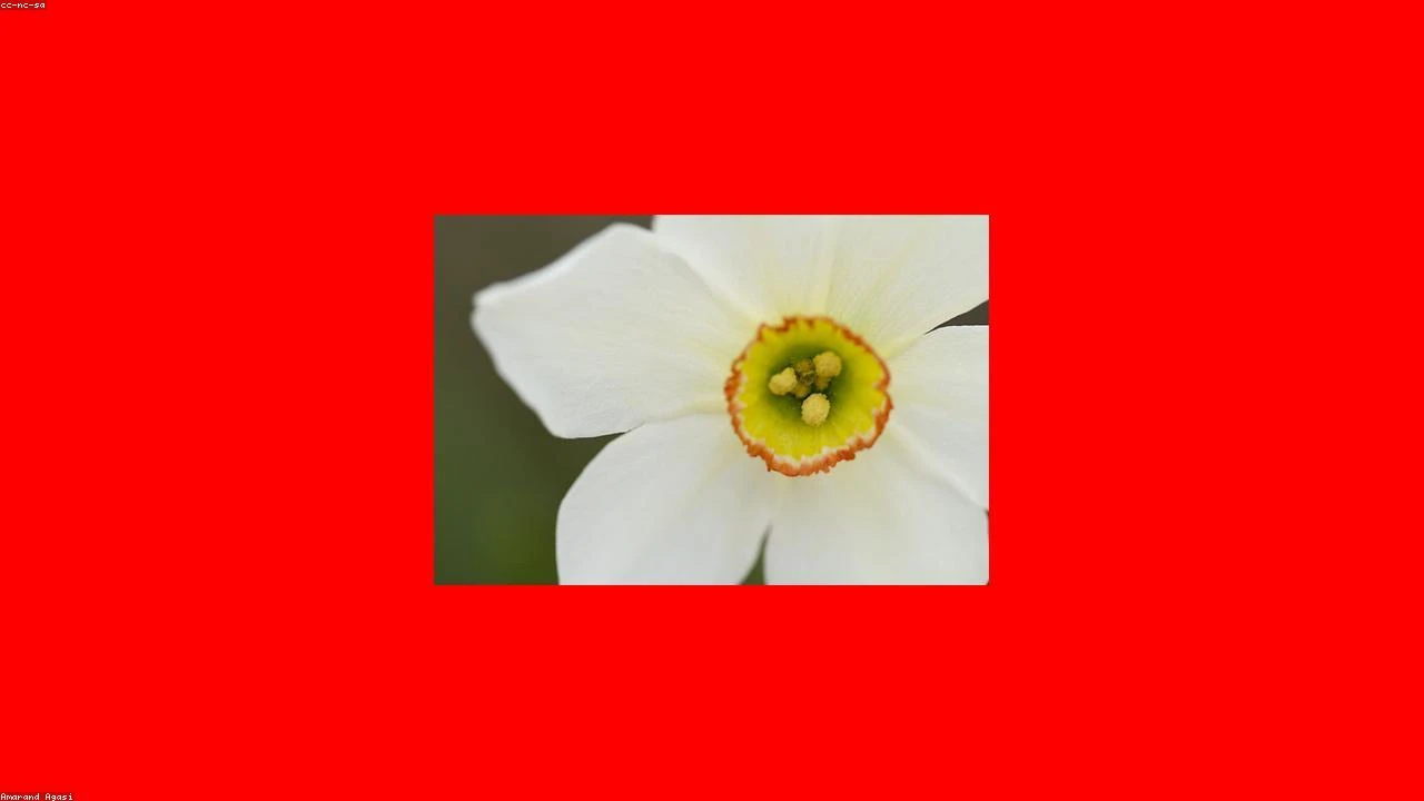 Rekindling Growth: A Deep Dive into Perimeter Solutions' Potential Rebound