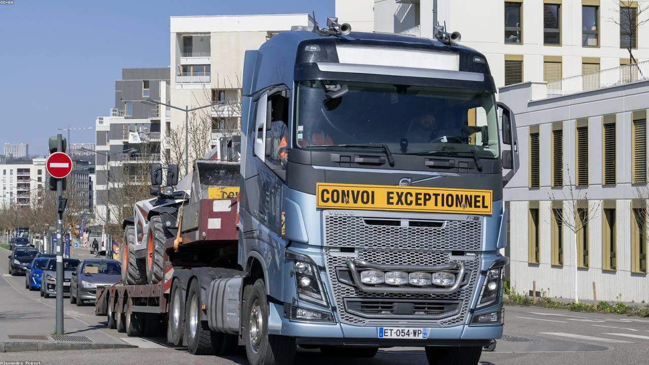 On Holding Poised for a Rebound: A Comprehensive Analysis