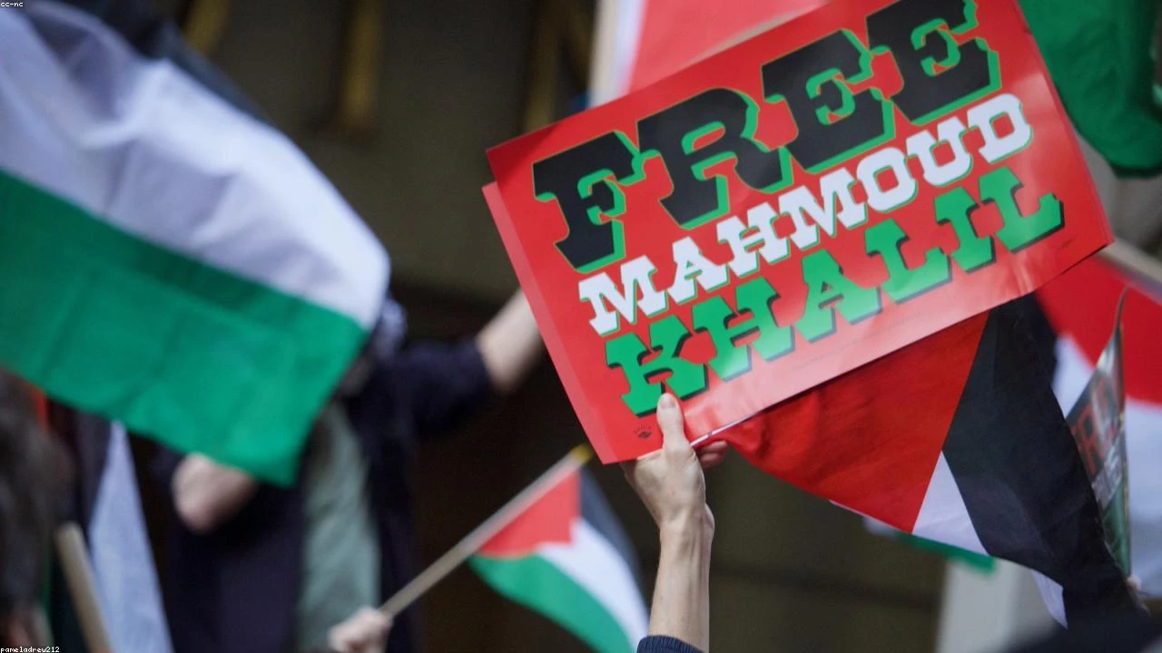 Uncovering the Reliability of a Simple yet Effective Indicator in Predicting Market Bottoms