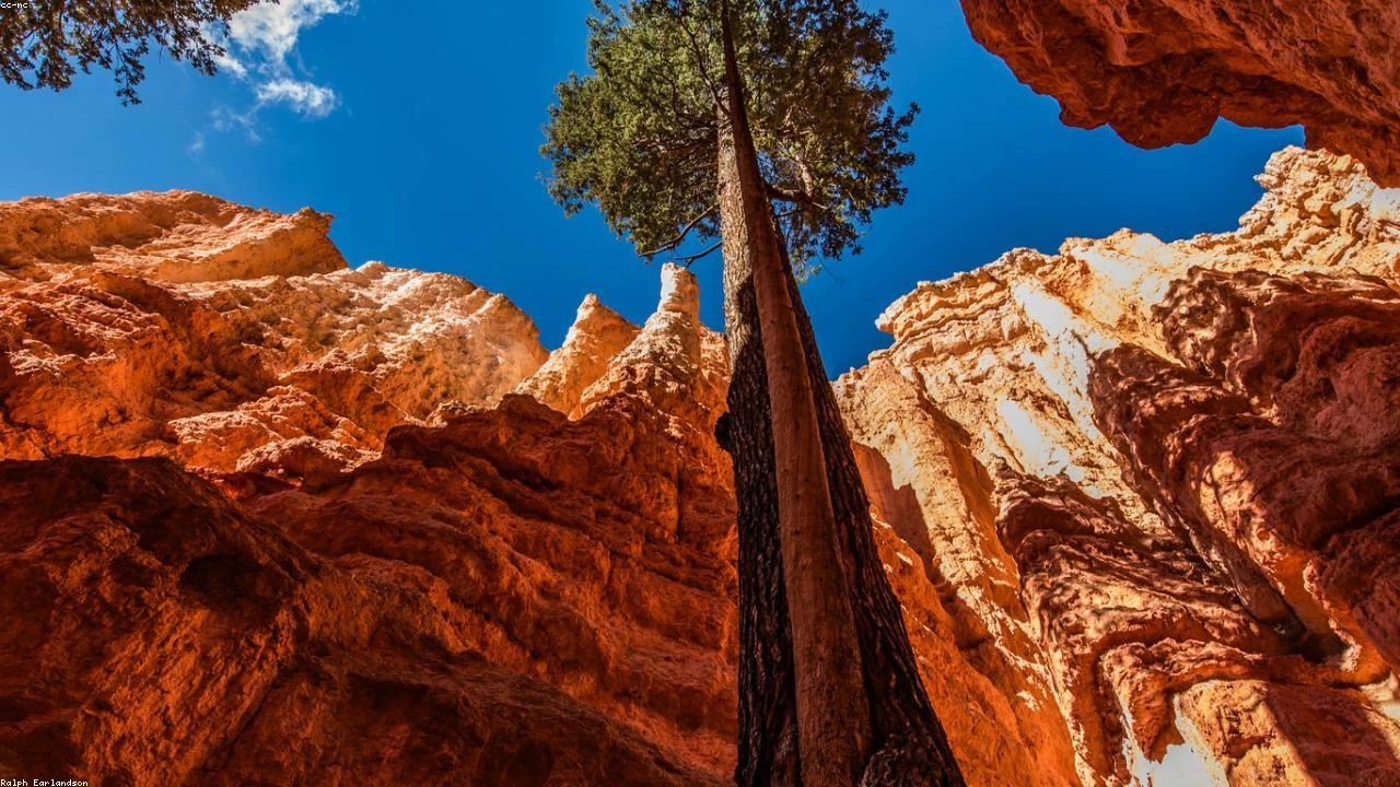 Rebound Opportunity: Why This Social Media Stock Is Poised for a Comeback