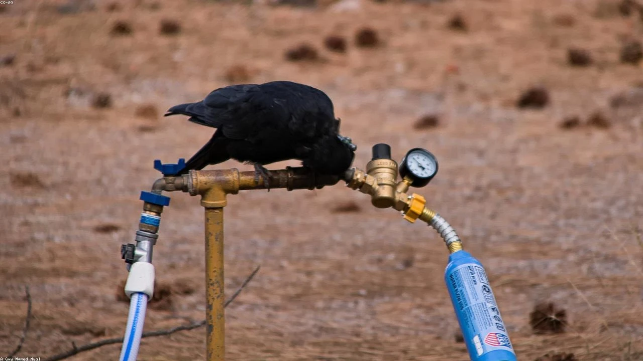 Kraken's Federal Reserve Account Under Scrutiny: A Deeper Dive