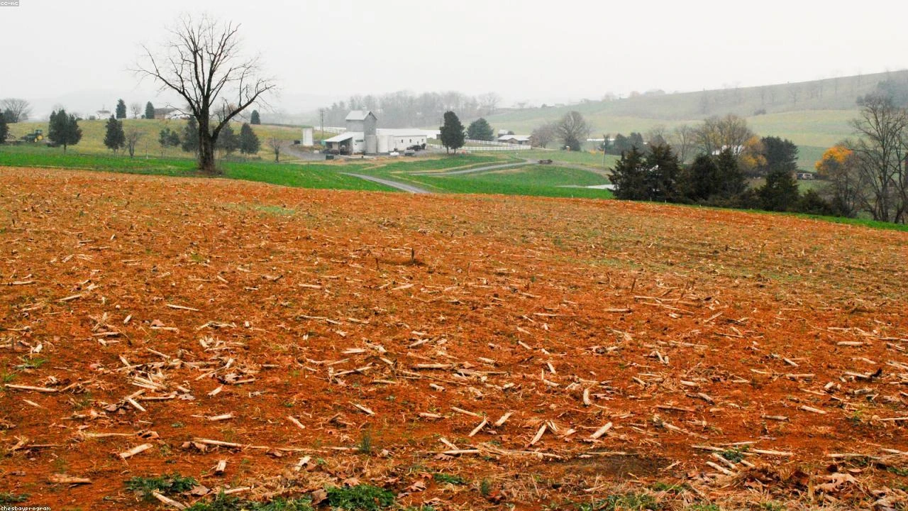 Geopolitical Tensions Escalate: Assessing the Impact on Global Markets