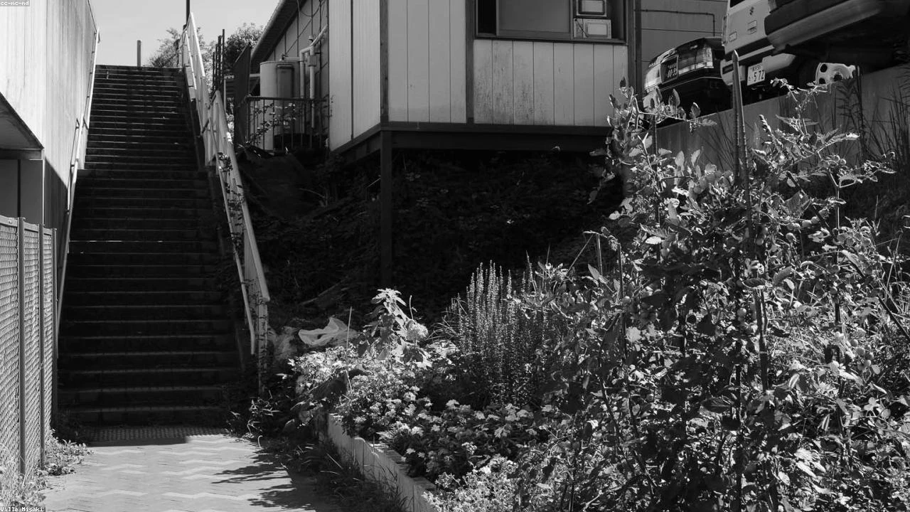 TSMC Stock Surges on Strong March Sales: AI Chip Demand Fuels Growth Ahead of Q1 Results