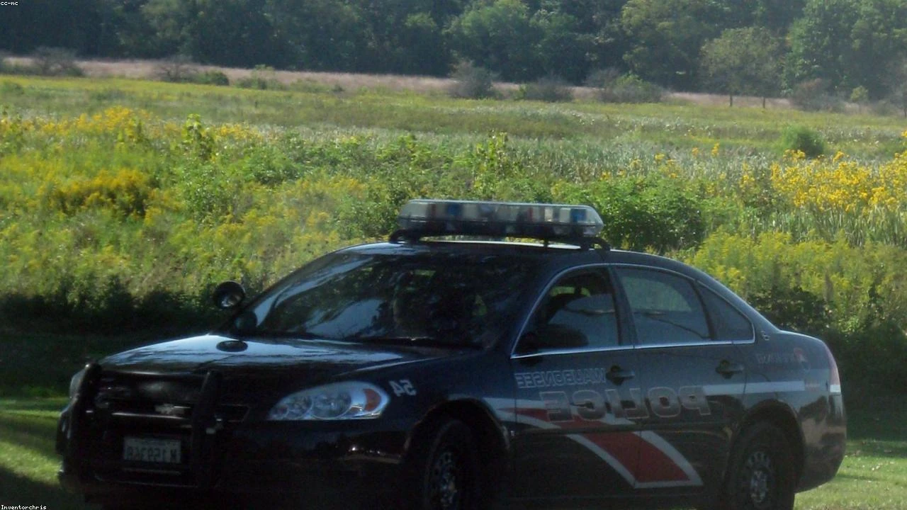 Oil Price Surge: Historical Context and Potential Impact on US Equities