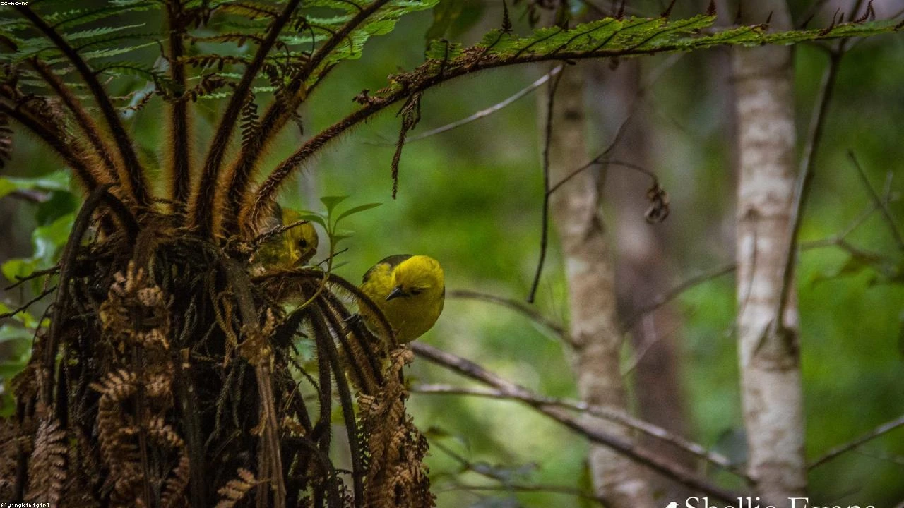 VICI Properties Boosts One Beverly Hills Loan to $1.5 Billion: A Deep Dive Analysis