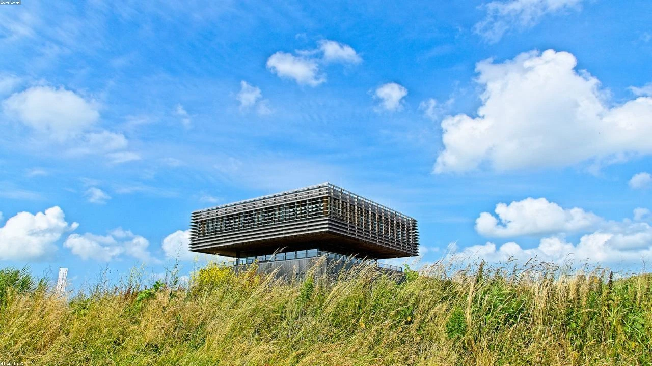 Wall Street's Bullish Sentiment on Meta: A Deep Dive into the Tech Giant's AI Focus