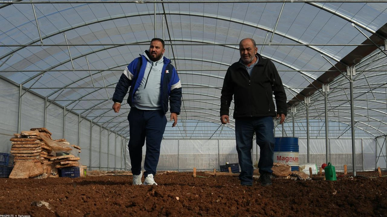 SMBs Weigh In: A Deep Dive into Advertising with GOOGL, META, and ChatGPT