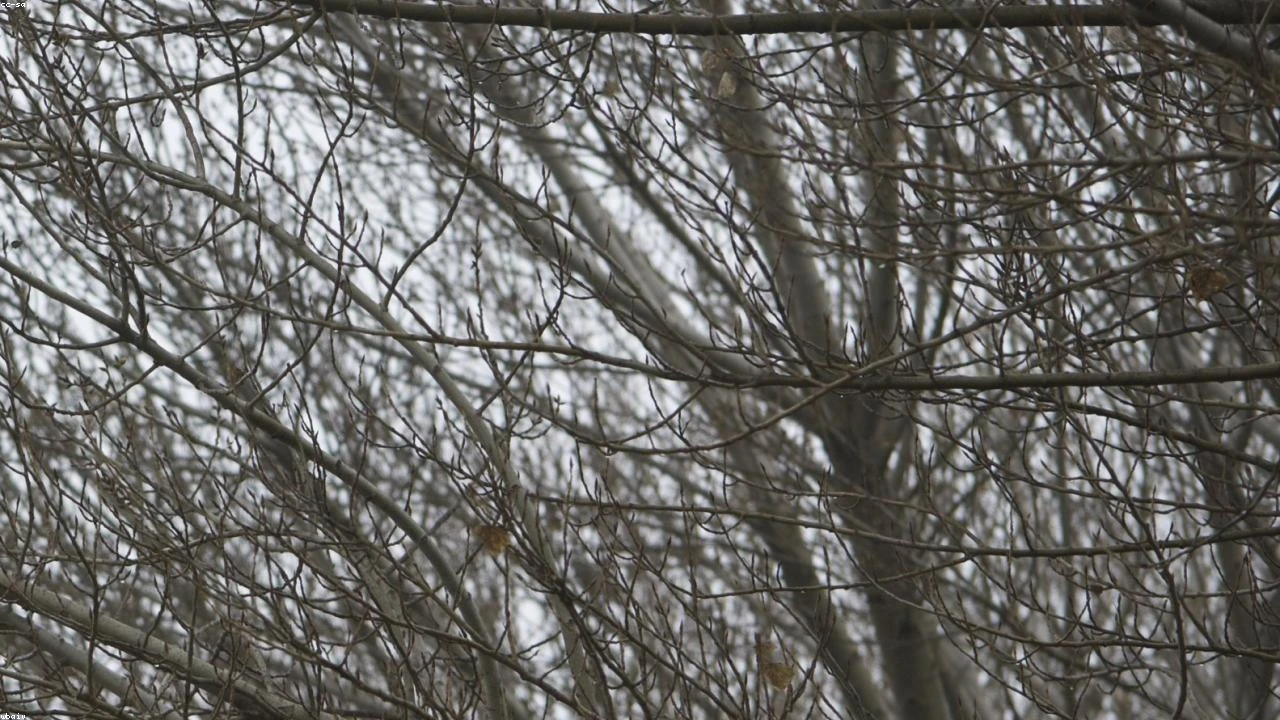 Navigating Yield in a Volatile Geopolitical Landscape